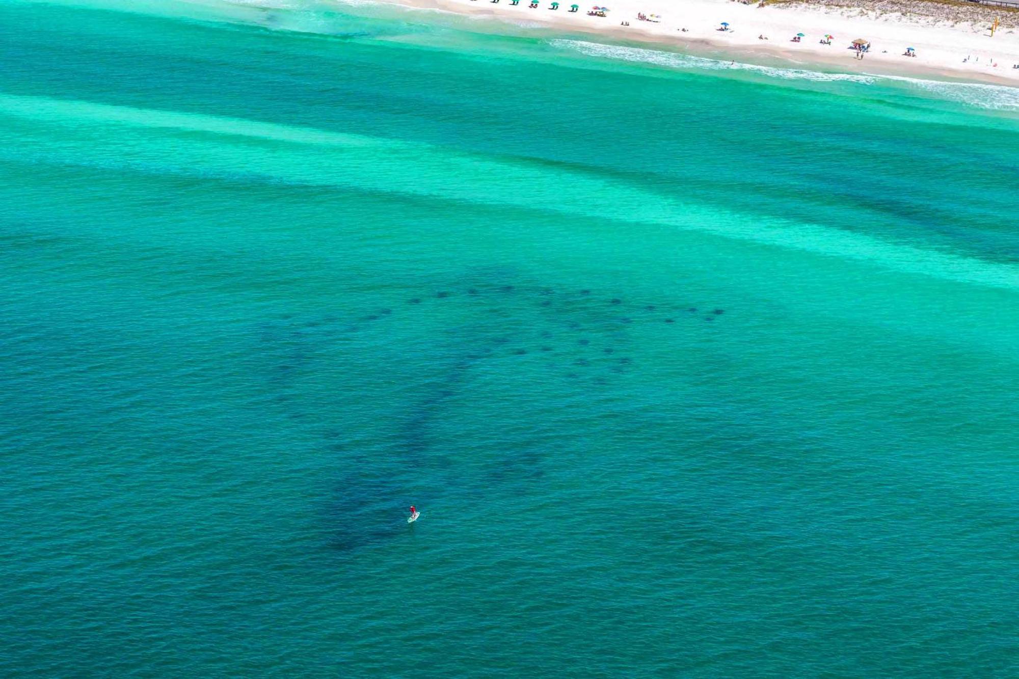Ariel Dunes I 2207 Destin Kültér fotó